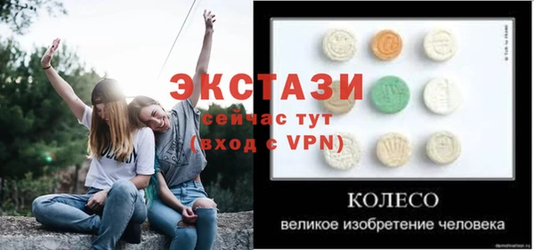 ПСИЛОЦИБИНОВЫЕ ГРИБЫ Козловка