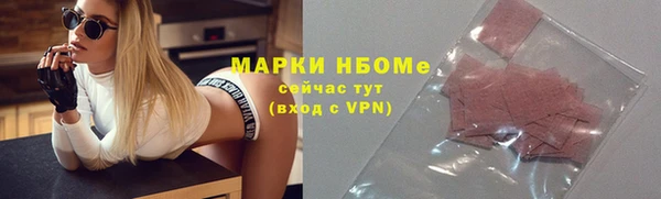 ПСИЛОЦИБИНОВЫЕ ГРИБЫ Козловка