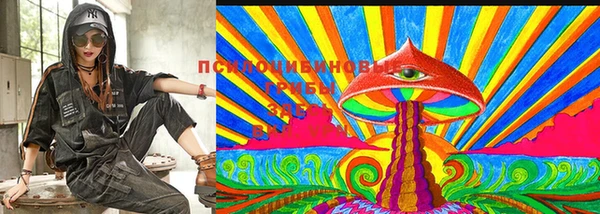 прущая мука Козельск