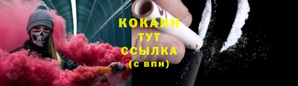 ПСИЛОЦИБИНОВЫЕ ГРИБЫ Козловка