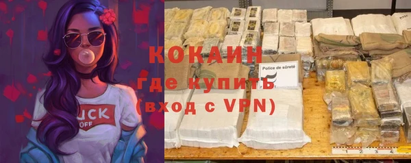 ПСИЛОЦИБИНОВЫЕ ГРИБЫ Козловка